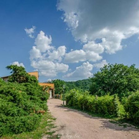 הוילה Chouvigny Gite Du Mont Plaisir מראה חיצוני תמונה